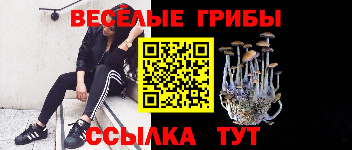 Псилоцибиновые грибы Cubensis Георгиевск
