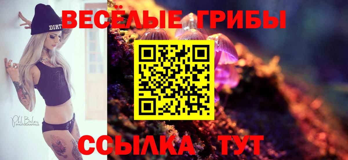 Георгиевск  Галлюциногенные грибы ЛСД  как найти закладки  Галлюциногенные грибы Cubensis  Вход с VPN 